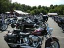View The Chapter 80 At Chapter 60 Summer Party Album